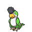 怒鹦哥